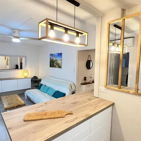 Le Farniente Front De Mer Clim Wifi Jardin Parking Apartment *