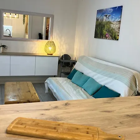 Le Farniente Front De Mer Clim Wifi Jardin Parking Apartment *