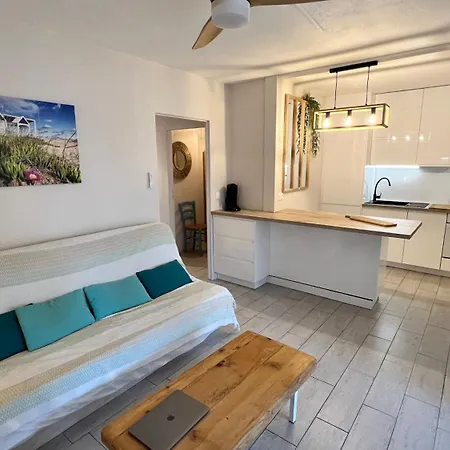 Le Farniente Front De Mer Clim Wifi Jardin Parking Apartment