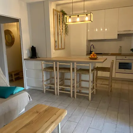 Le Farniente Front De Mer Clim Wifi Jardin Parking Apartment