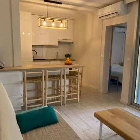 Apartment Le Farniente Front De Mer Clim Wifi Jardin Parking *